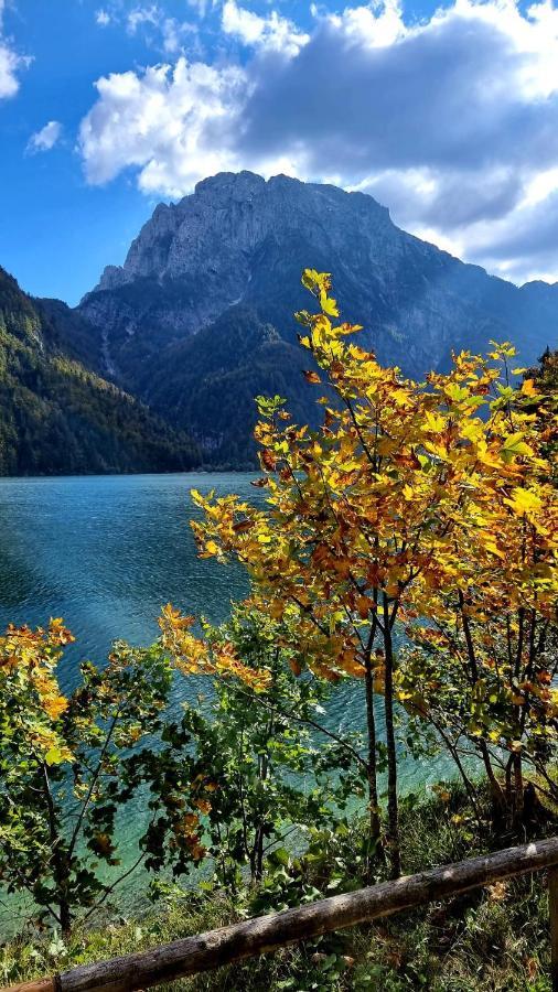 Affittacamere Buon Riposo Tarvisio Exterior foto