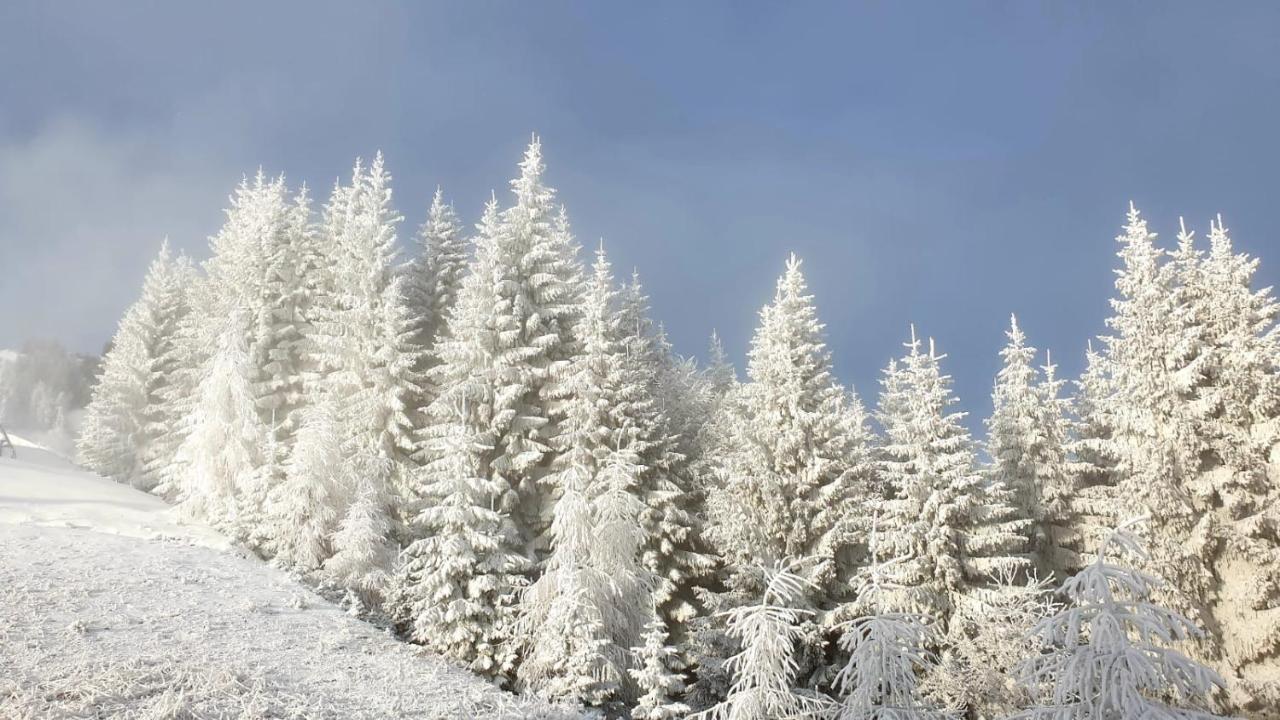 Affittacamere Buon Riposo Tarvisio Exterior foto