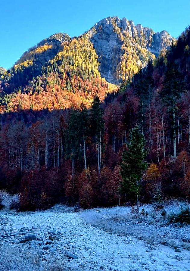 Affittacamere Buon Riposo Tarvisio Exterior foto